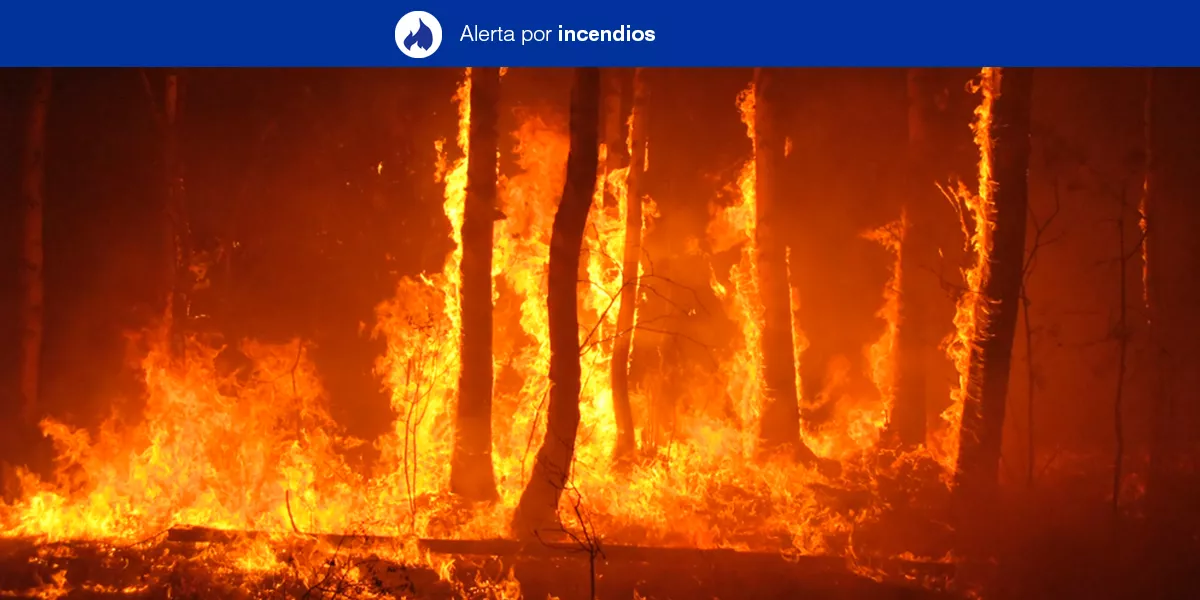 alerta-incendios-gran-canaria