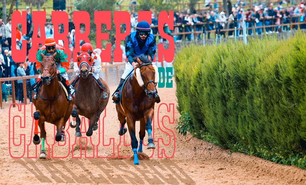 carreras-de-caballos-hipodromo-de-la-laguna-valleseco_noticias-de-gran-canaria