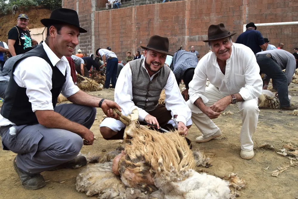 fiesta-de-la-lana-caideros-de-galdar-fiesta-de-interes-turistico-de-canarias_la-gaceta-de-gran-canaria