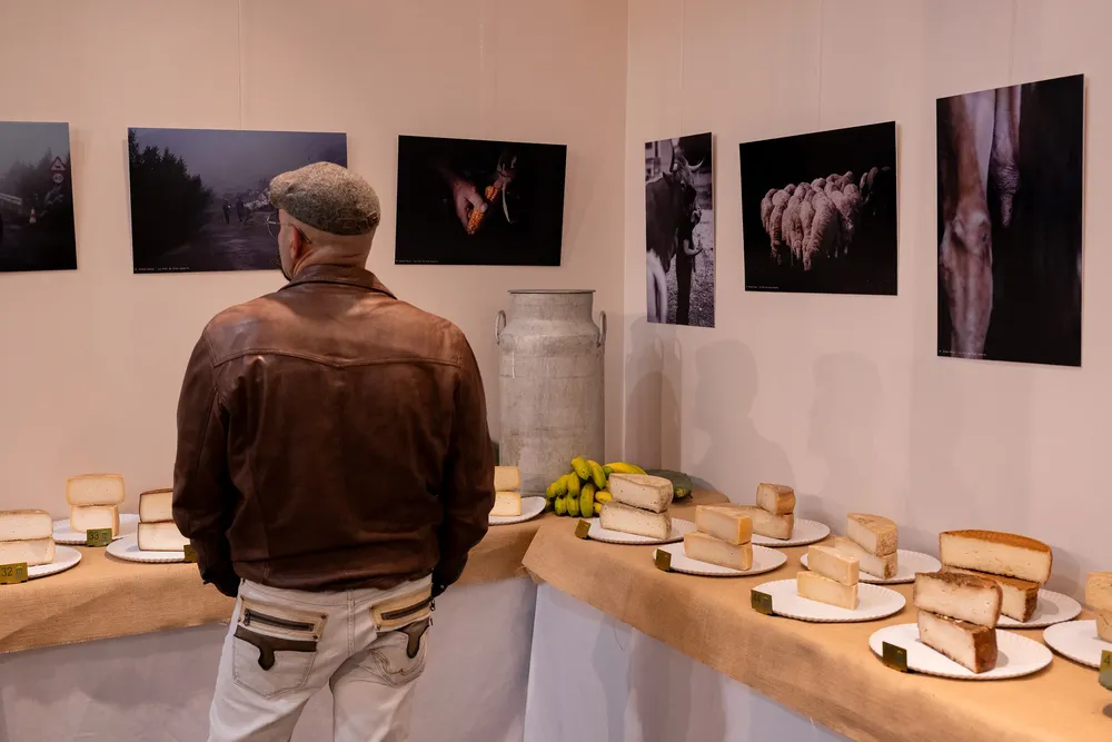 cata-de-quesos-de-altos-de-galdar-certifica-excelente-calidad-de-quesos-artesanos-de-gran-canaria