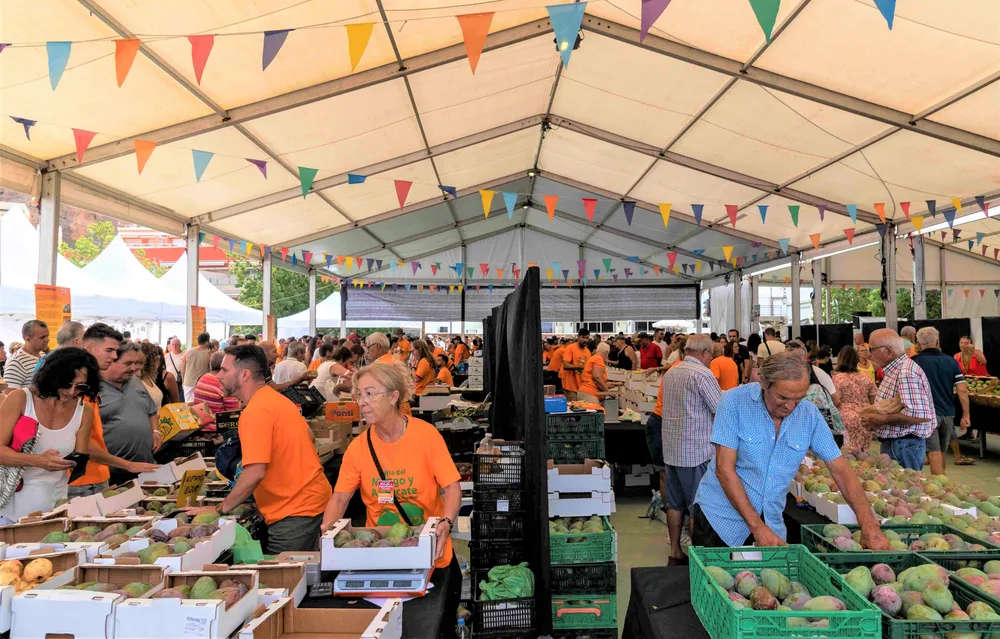 feria-mango-y-aguacate-de-verano-mogan-I-la-gaceta-noticias-gran-canaria