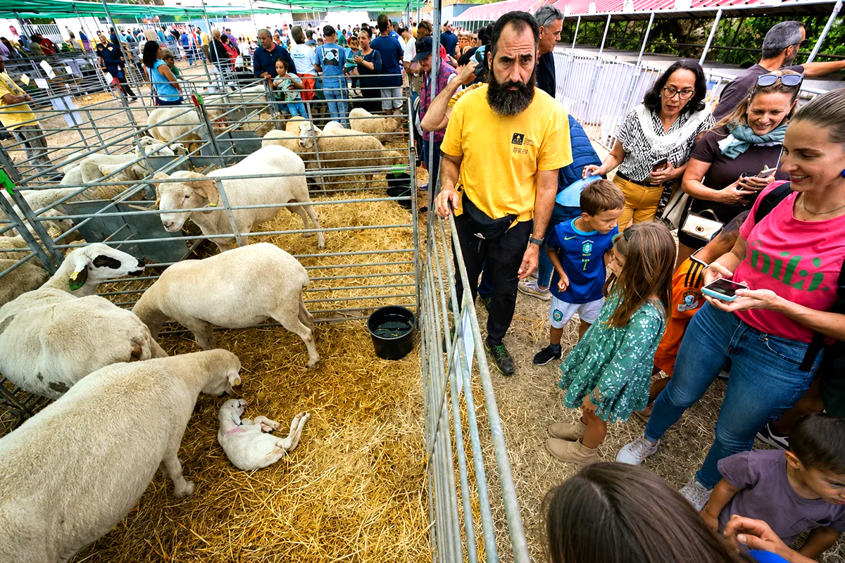pinchazo-de-la-soberania-alimentaria-en-Gran-Canaria