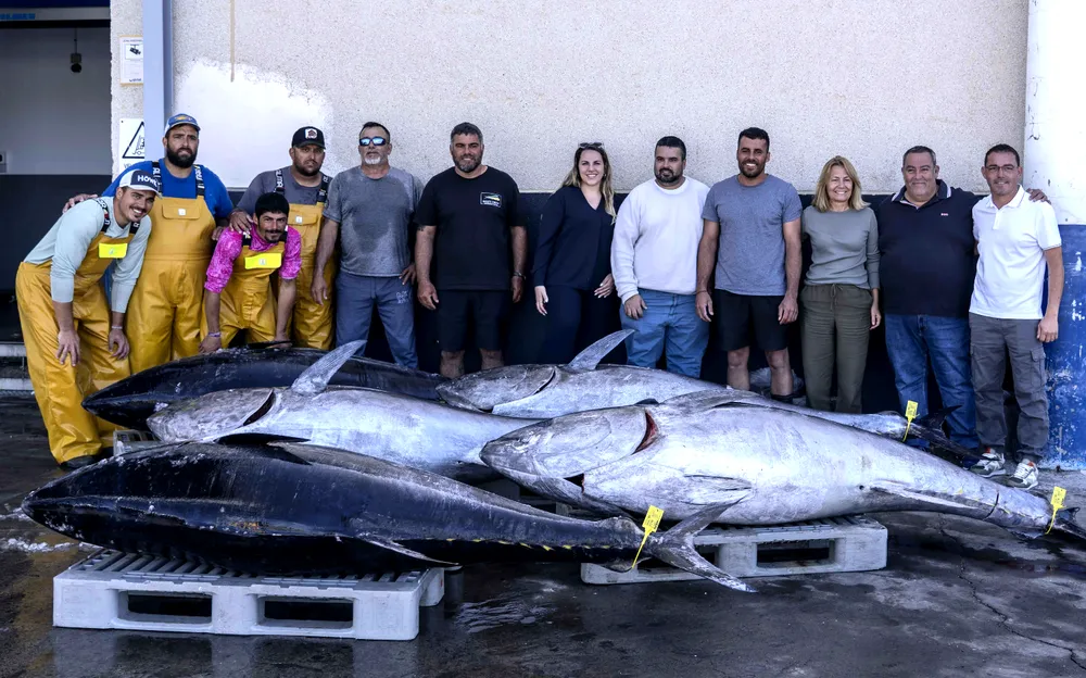 Nuevo-Olimar-abre-en cofradia-pescadores-arguineguin-campaña-atun-rojo-en-gran-canaria