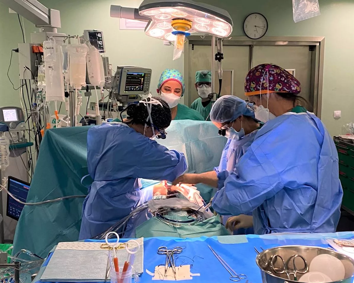 trasplante-de-corazon_hospital-doctor-negrin_la-gaceta-de-gran-canaria