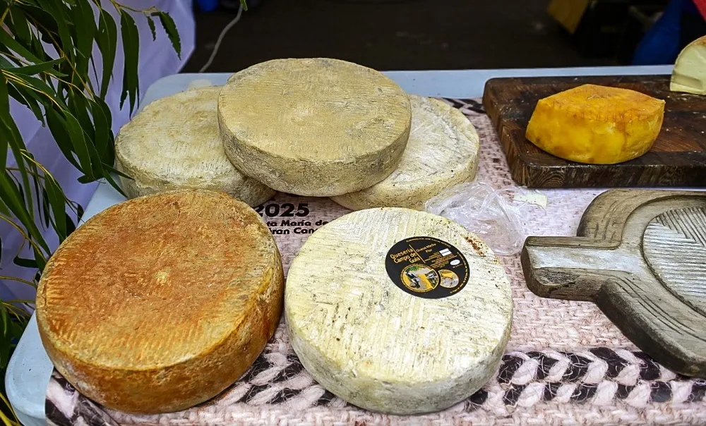 fiesta-del-queso-de-guia-reune-a-ocho-mil-personas-en-montaña-alta_noticias-de-gran-canaria