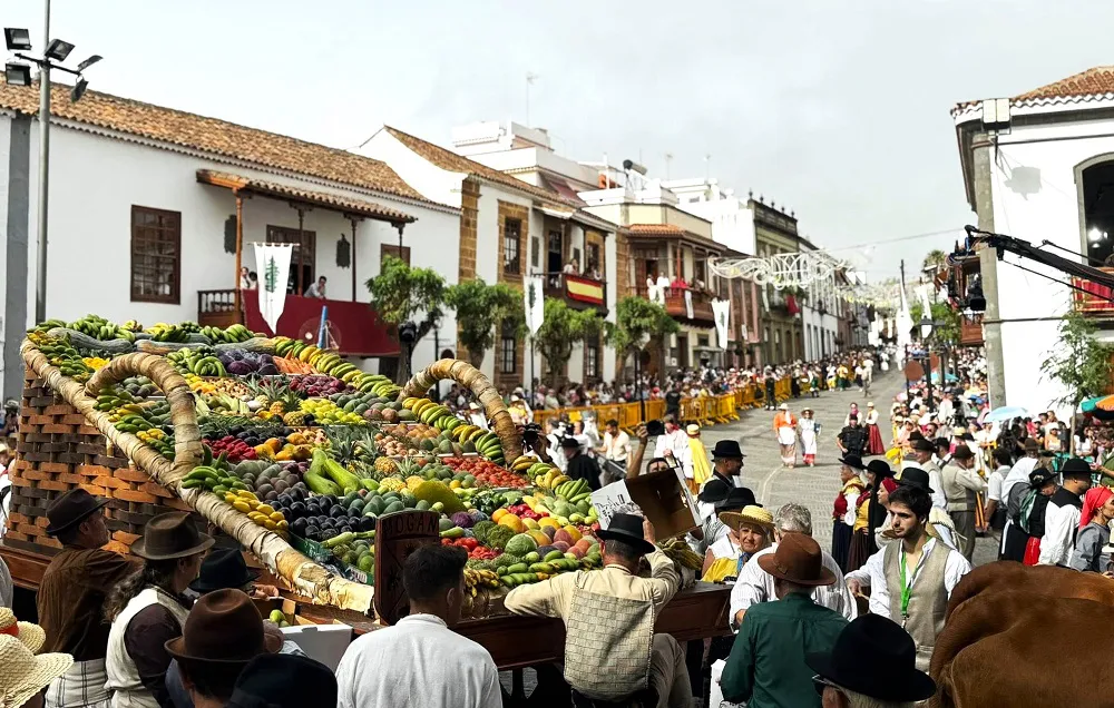 mogan-brilla-en-la-romeria-ofrenda-del-pino-en-teror
