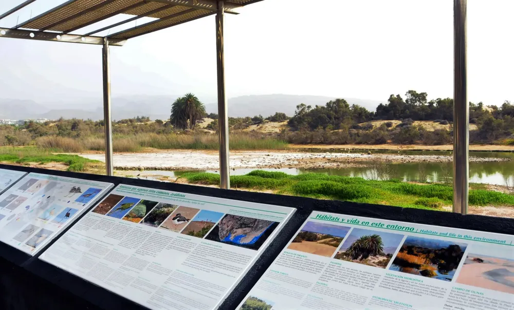 charca-de-maspalomas-nuevos-paneles-informativos-I-la-gaceta-noticias-gran-canaria