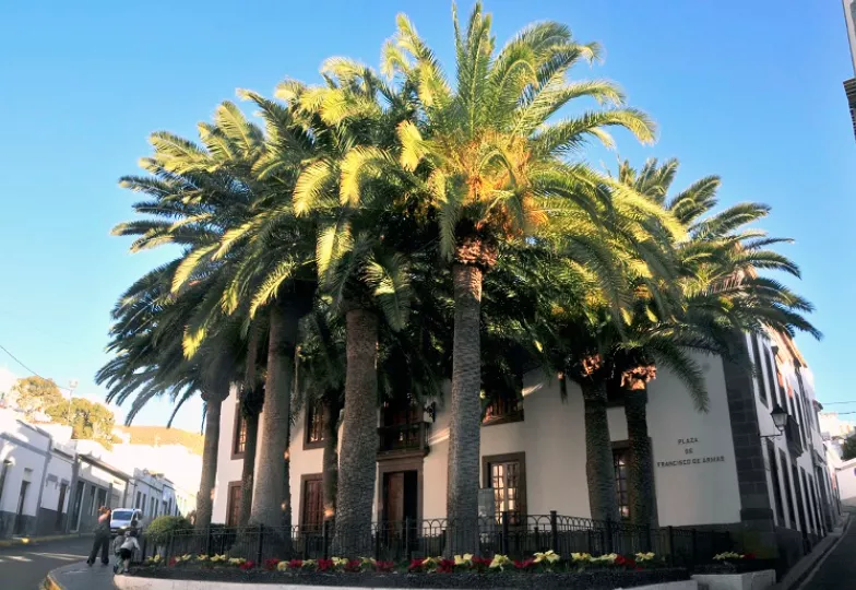 Agaete abre el plazo para las ayudas económicas de emergencia social