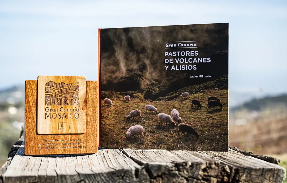 cabildo-gran-canaria-reconoce-viñedos-de-la-isla_la-gaceta-noticias-de-gran-canaria