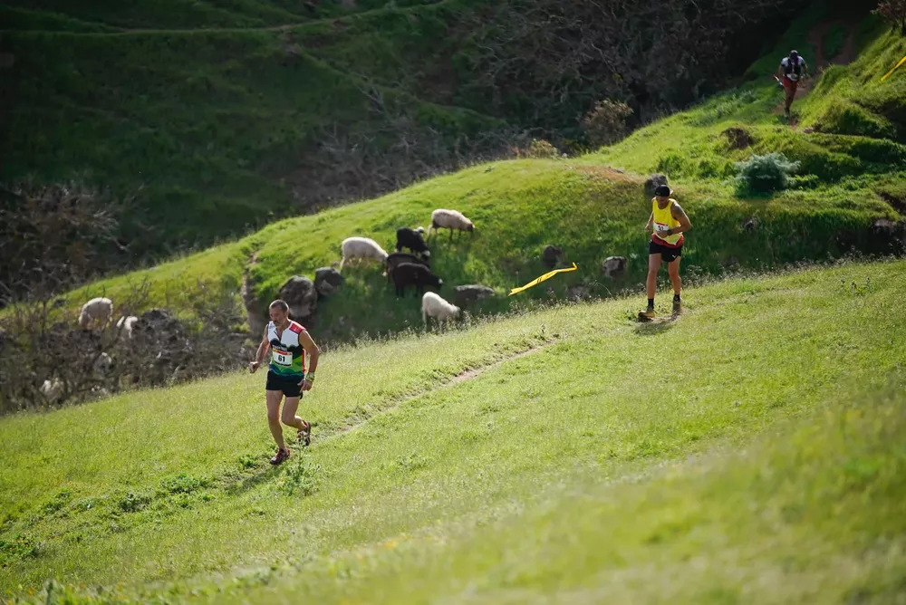 circular-extrema-villa-de-moya_4_la-gaceta-de-gran-canaria