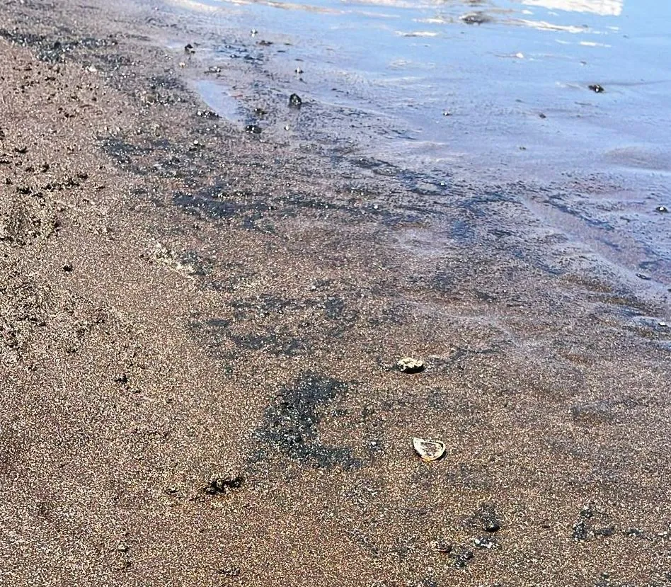 vigilancia-detecta-mancha-de-combustible-en-playa-del-hombre-y-se-procede-a-cierre