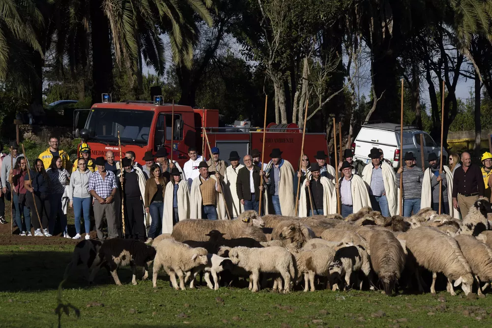 convenio-pastores-gran-canaria-con-cabildo_la-gaceta-noticias-de-gran-canaria