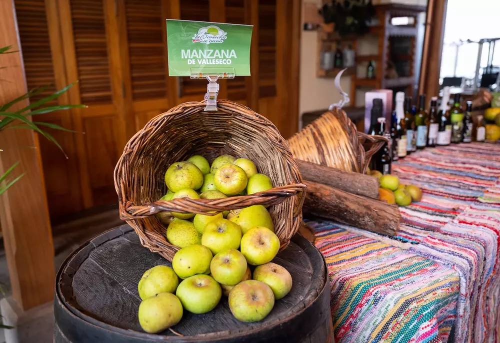 manzana-de-valleseco_la-gaceta-de-gran-canaria
