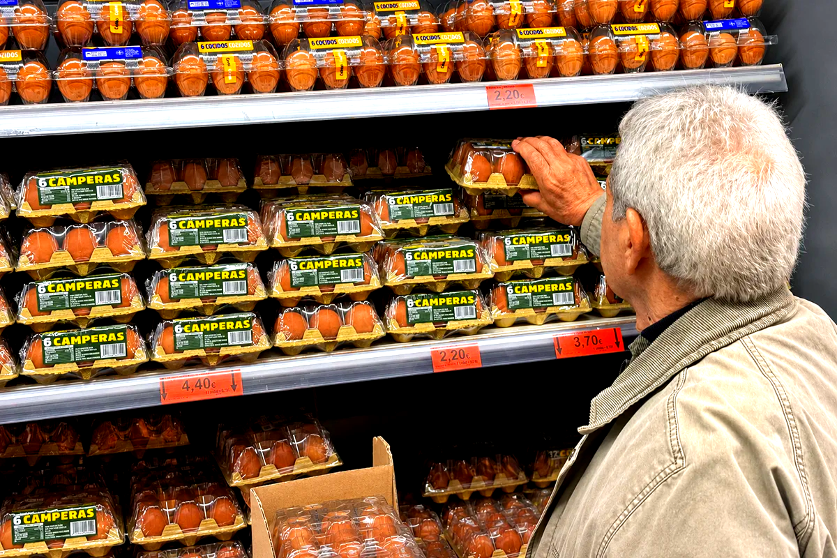 treinta-millones-de-huevos-en-Canarias-las-quitas-administrativas-asfixian-al-sector