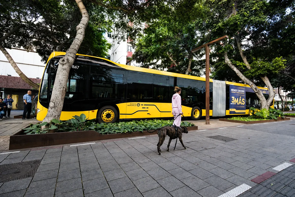 retos-estructurales-en-el-horizonte-electoral-de-gran-canaria-de-2027