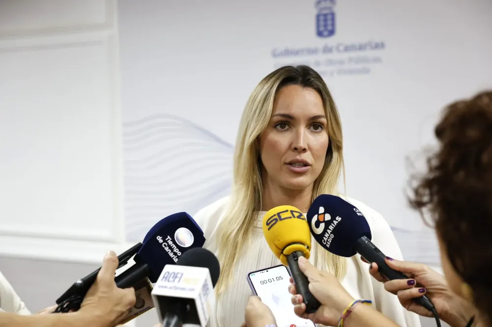 maria-fernandez-transporte-gobierno-de-canarias_la-gaceta-noticias-gran-canaria maria fernandez, directora general de transportes del gobierno de canarias I noticias de gran canaria