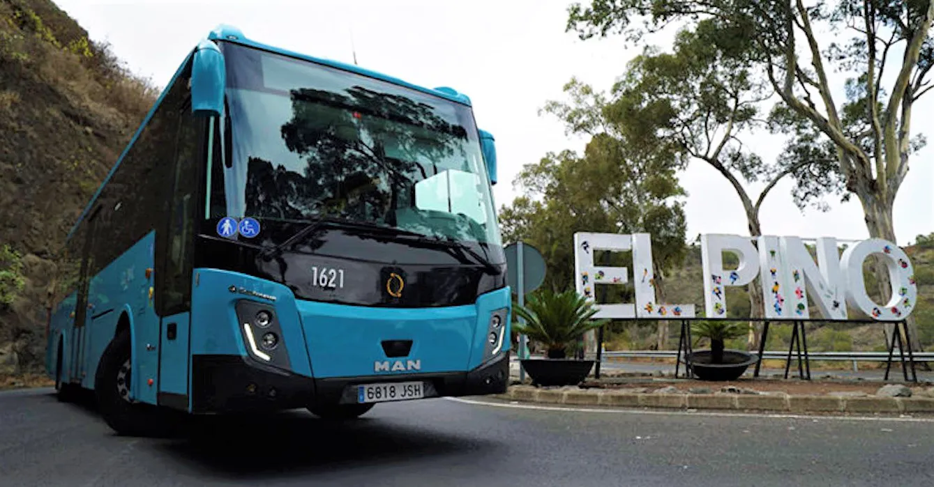 global-dispositivo-fiestas-del-pino-teror-I-la-gacaeta-noticias-gran-canaria