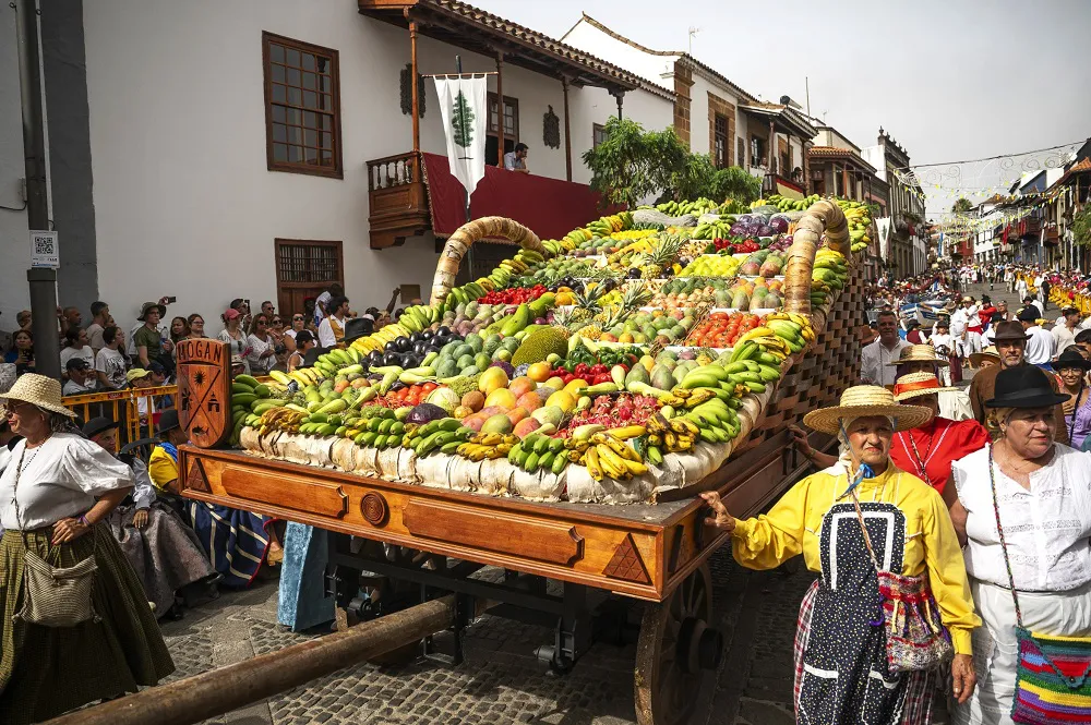 mogan-brilla-en-romeria-del-pino-en-teror_2