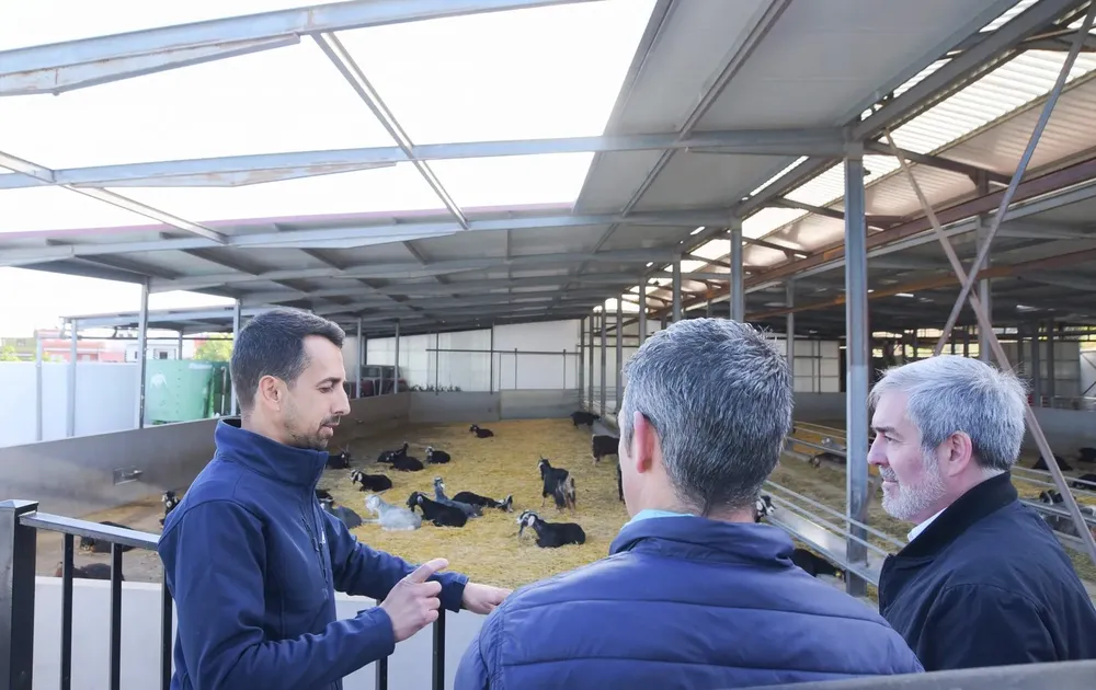 clavijo-anuncia-ayudas-para-jovenes-que-quieran-poner-en-marcha-una-empresa-agraria_la-gaceta-noticias-gran-canaria