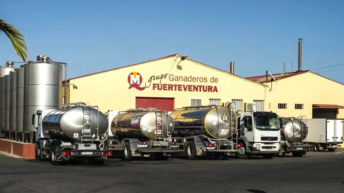 pulso-cereales-en-union-europea-y-su-eco-en-canarias-el-posei-como-escudo-contra-la-volatilidad