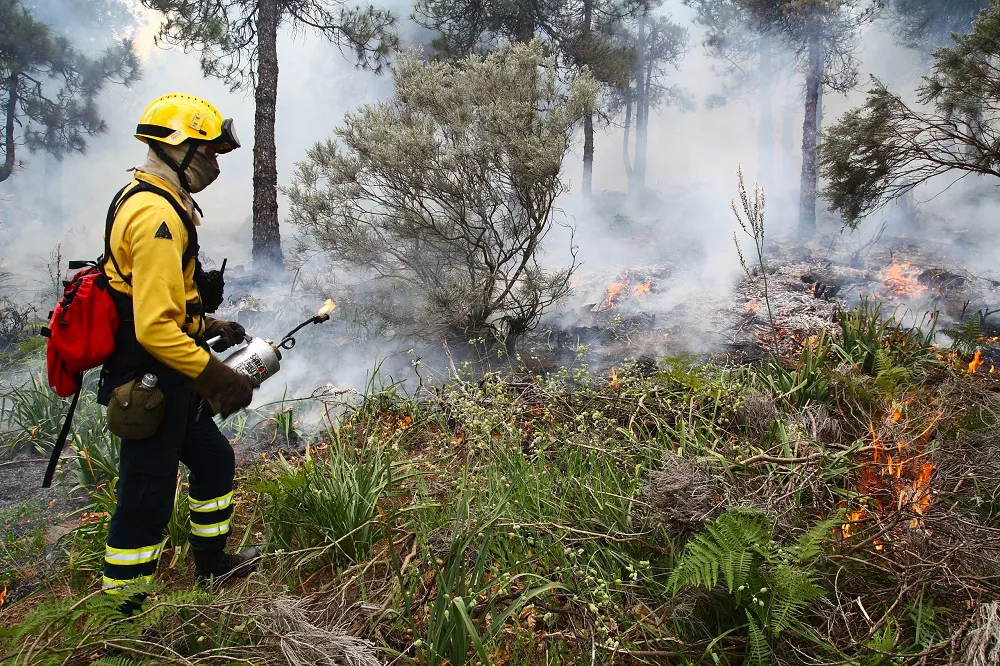 alerta-por-incendios-forestales-en-gran-canaria