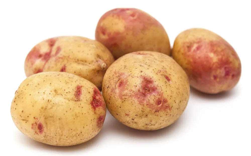 buster-mejor-papa-gran-canaria