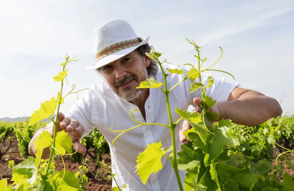 enologica-la-serie-que-descubre-la-ruta-del-vino-de-gran-canaria-a-cuatro-millones-de-espectacdores