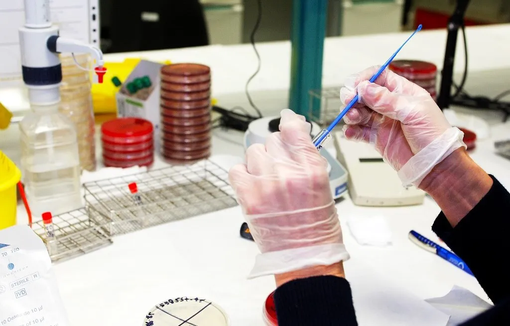 brote-salmonella-en-dos-hospitales-de-gran-canaria