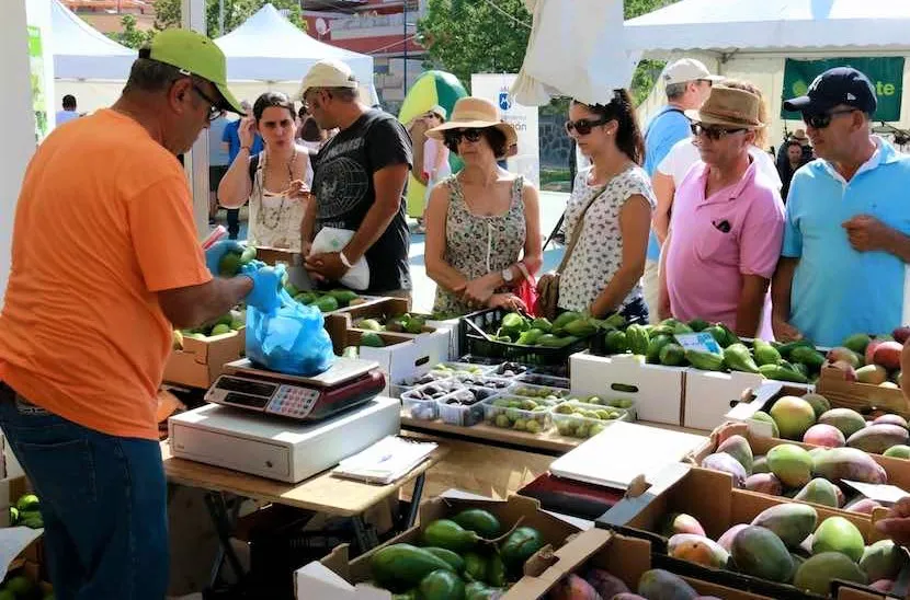 feria-mango-aguacate-mogan-I-la-gaceta-noticias-gran-canaria