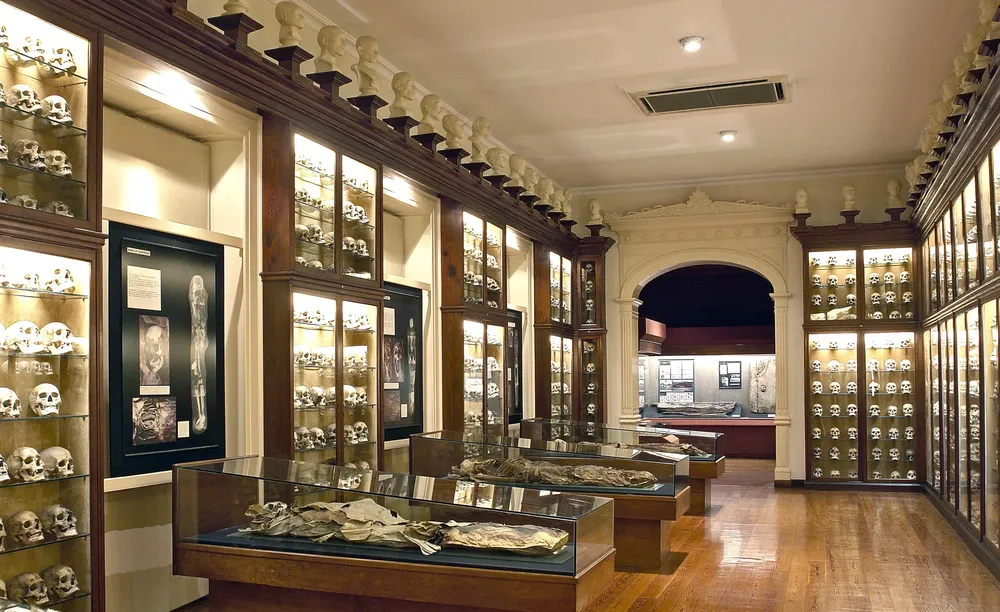 el-museo-canario_noticias-de gran-canaria