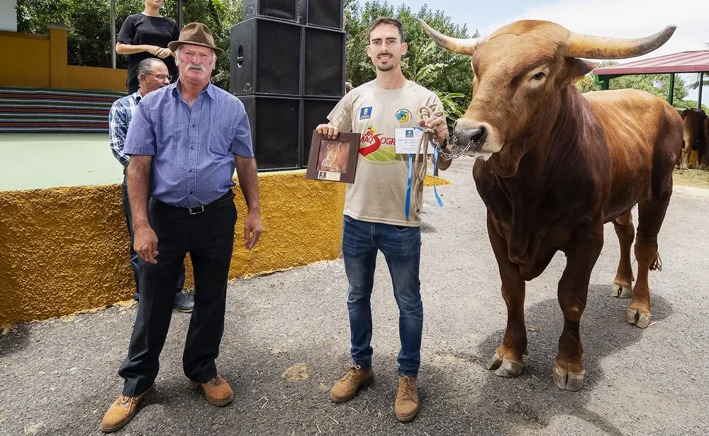 feria-de-ganado-de-gran-canaria-regresa-con-record-de-participantes