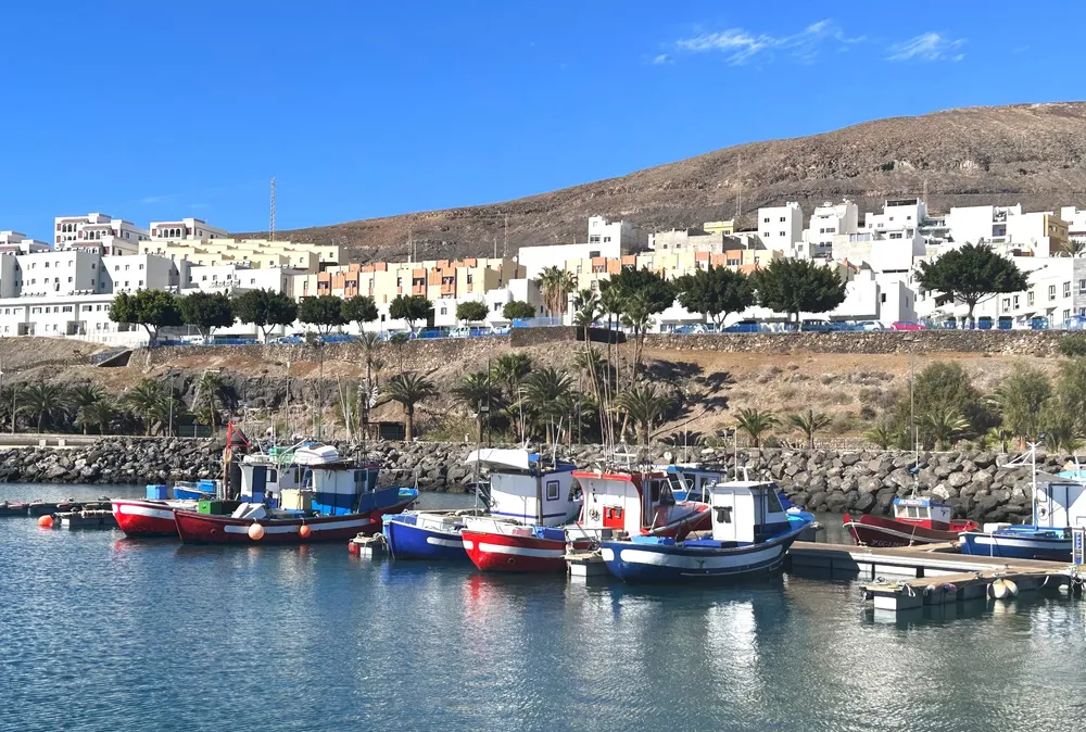 modificacion-real-decreto-permite-a-buques-canarios-menores-de-24-metros-ampliar-zona-pesca-de-tunidos_la-gaceta-noticias-gran-canaria