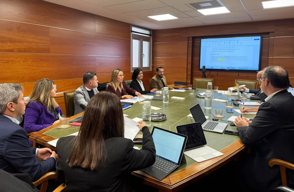 teodoro-sosa-defiende.en-madrid-tren-de-gran-canaria