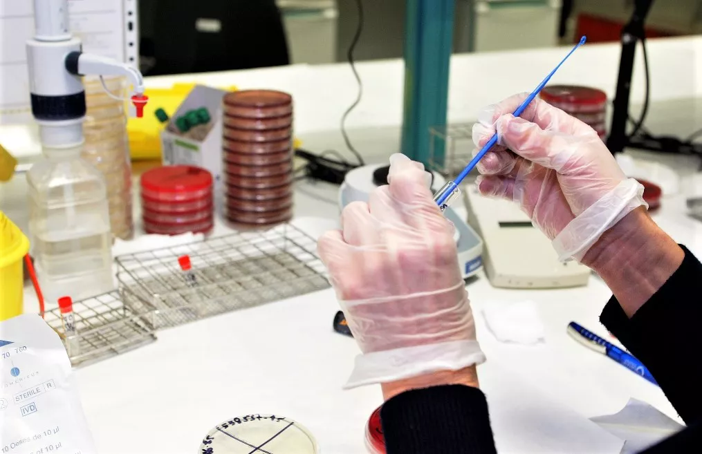 sanidad-gobierno de canarias