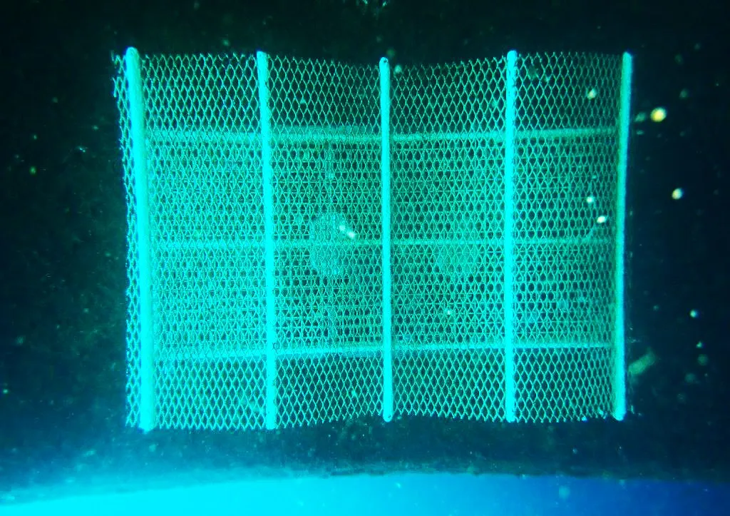 arrecifes-biomimeticos-para-renaturalizar-espacios-portuarios-en-puertos-de-las-palmas