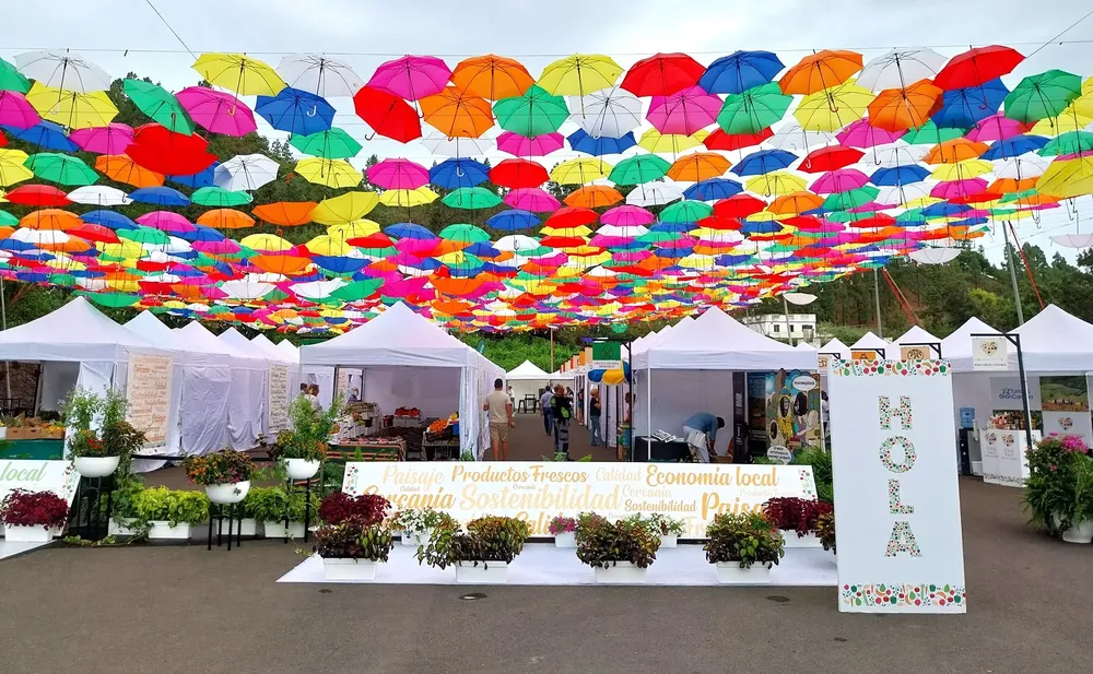 valleseco-feria-gran-canaria-km0_la-gaceta-de-gran-canaria