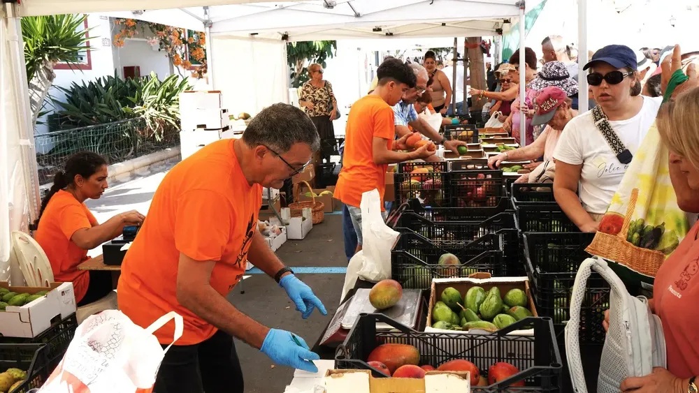 feria-del-mango-y-aguacate-verano-mogan feria del mango y aguacate de verano de mogan 