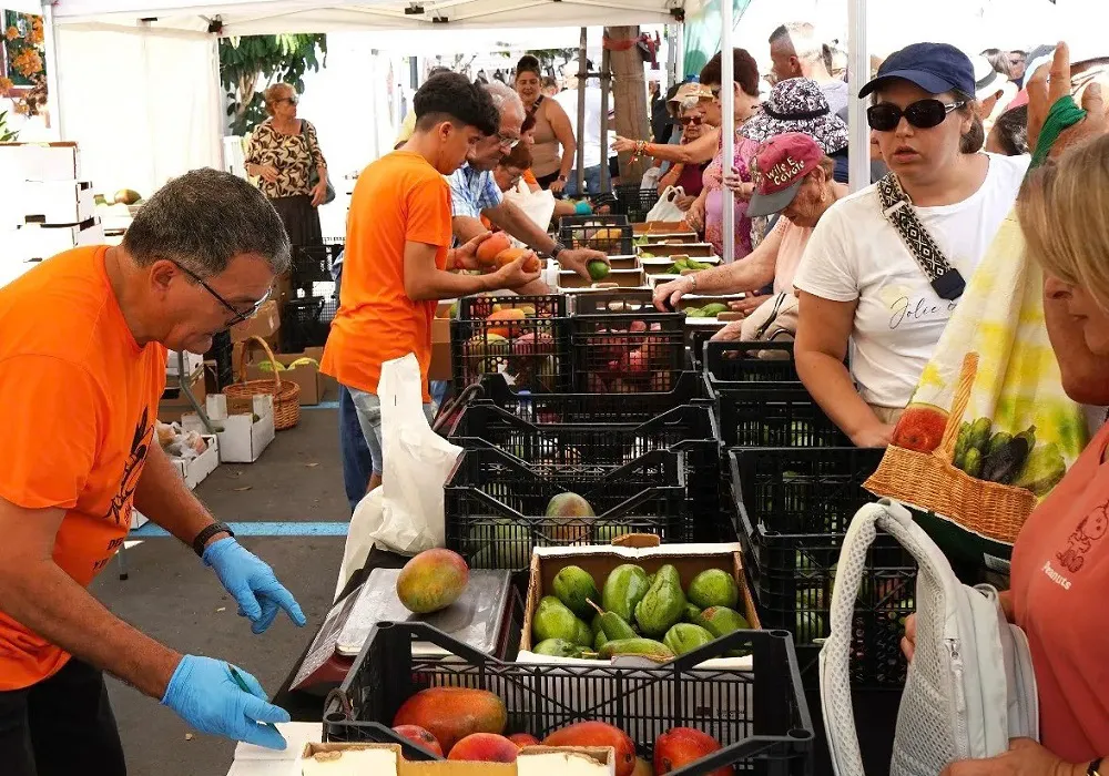 mogan-celebra-feria-del-mango-y-aguacate-de-verano