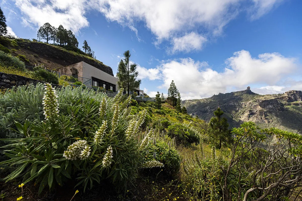 centro-interpretacion-degollada-de-becerra-abre-sus-puertas
