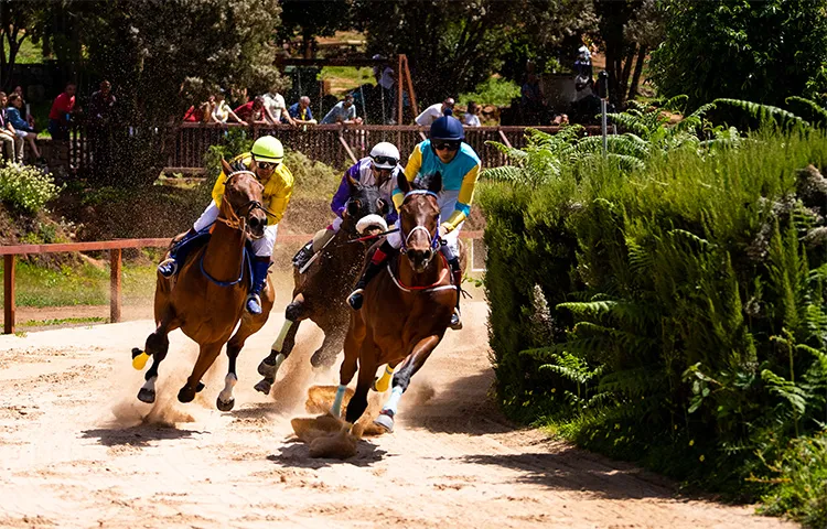 carreras-de-caballos-en-la-laguna-de-valleseco_noticias-de-gran-canaria