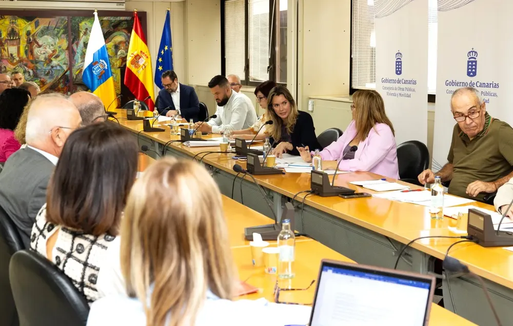 maria-fernandez-proyecto-ley-movilidad-sostenible_la-gaceta-de-gran-canaria María Fernandez durante la reunion con la Mesa de Viajeros y del Transporte de Mercancias I la gaceta de gran canaria I noticias de gran canaria