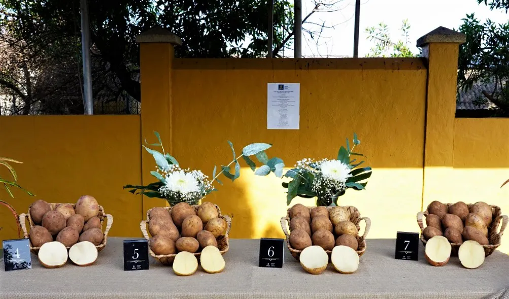 soraya-mejor-papa-gran-canaria-I-la-gaceta-noticias-gran-canaria