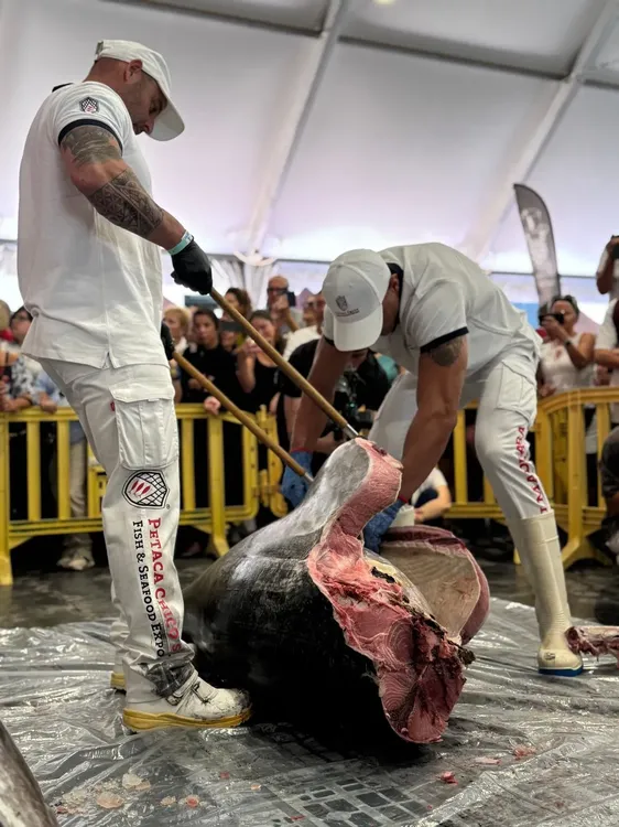 ronqueo-en-feria-del-atun-mogan