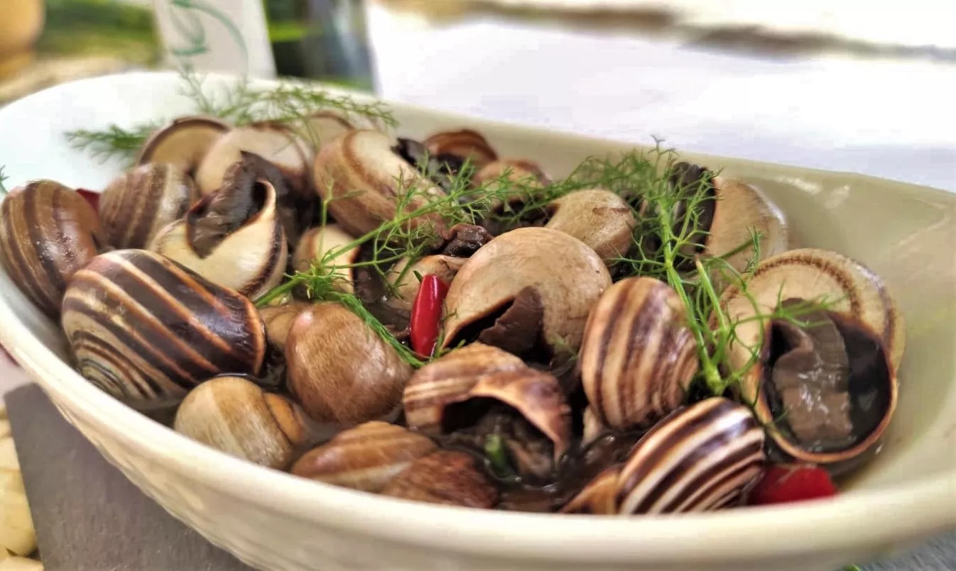 jornadas-gastronomicas-caracol-aguimes_archipielago-gourmet