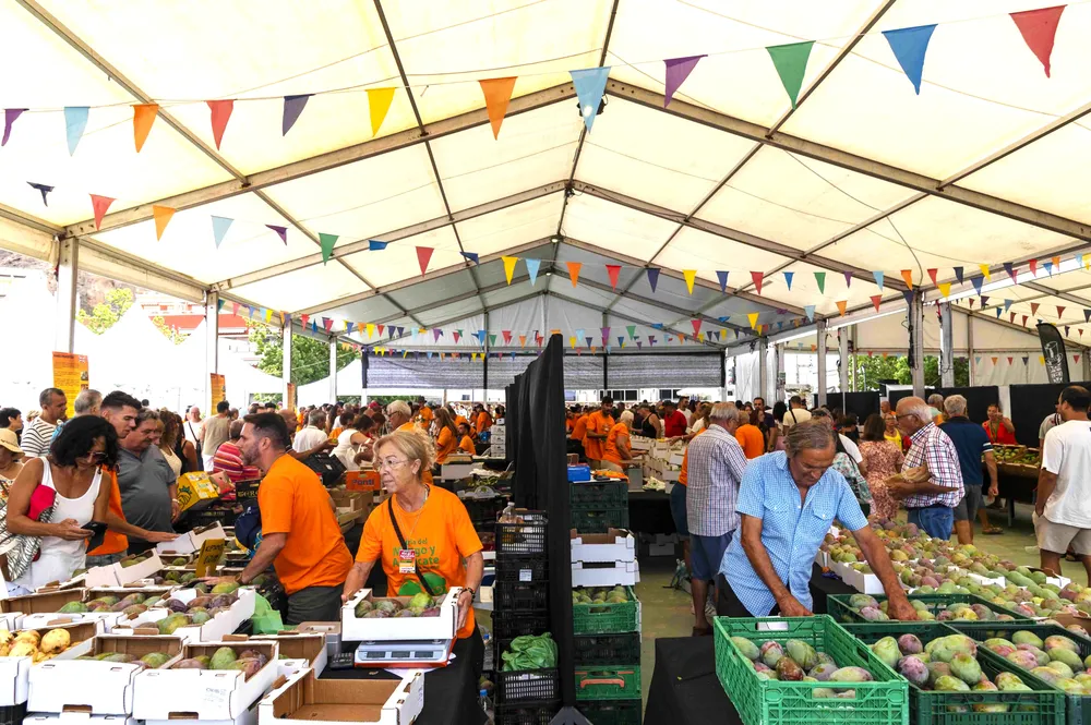 feria-mango-y-aguacate-de-verano-mogan