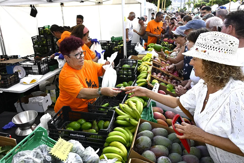exito-participacion-feria-mango-y-aguacate-mogan