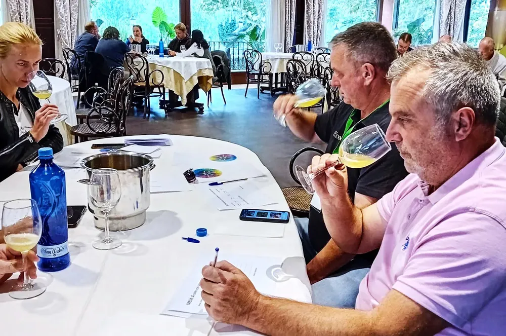 sidras-canarias-compiten-en-salon-internacional-les-sidres-de-gala-sisga-en-asturias