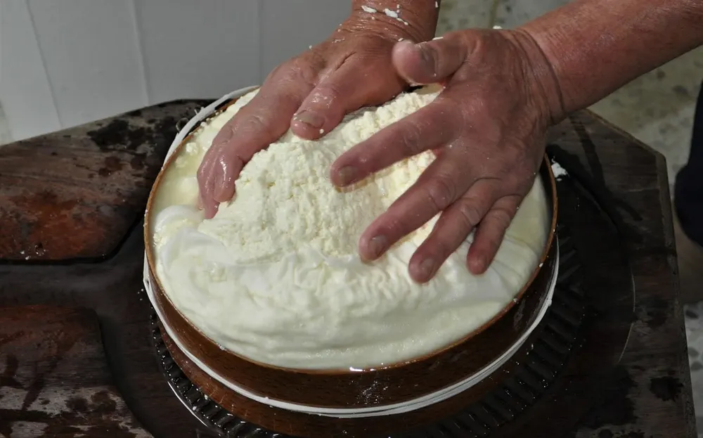 foro-de-mujeres-queseras-canarias-I-noticias-gran-canaria