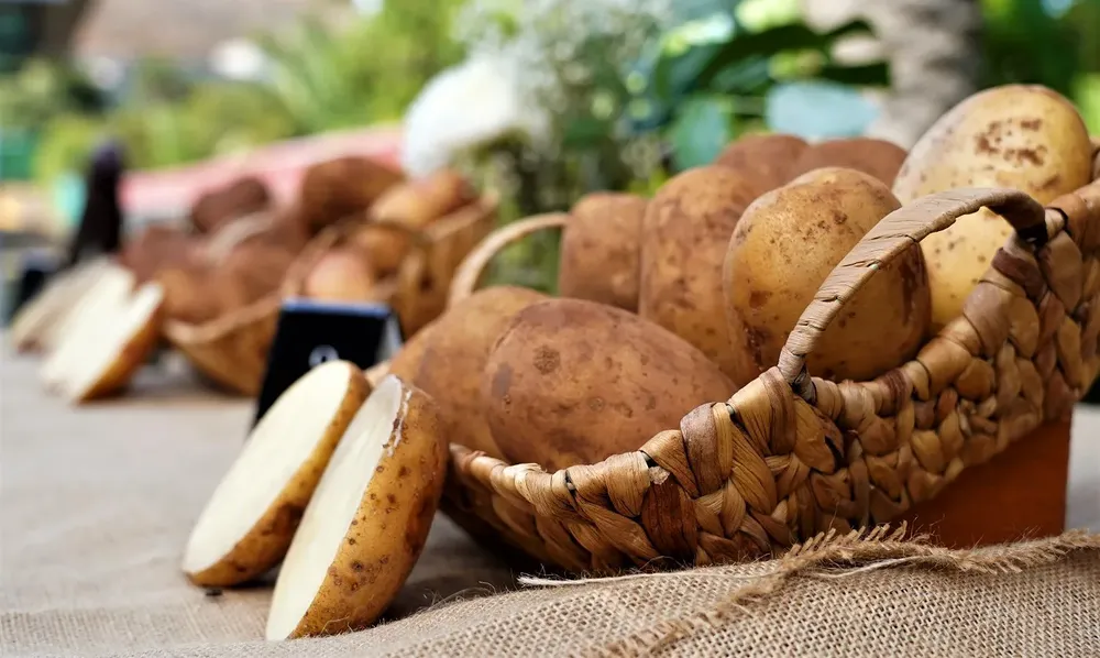 papas-gran-canaria-desabastecimento-I-la-gaceta-noticias-gran-canaria