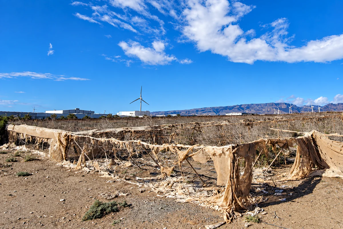 Sureste-de-Gran-Canaria-activa-1,5-millones-de-euros-para-eliminar-invernaderos-abandonados